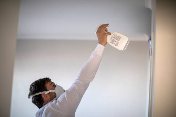 Best Fast Mold Removal  in Au Sable, MI